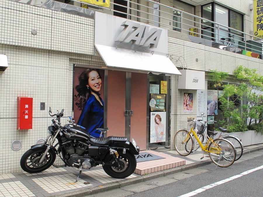 経堂農大通り商店街公式ホームページ Taya 経堂農大通り商店街公式ホームページ Taya